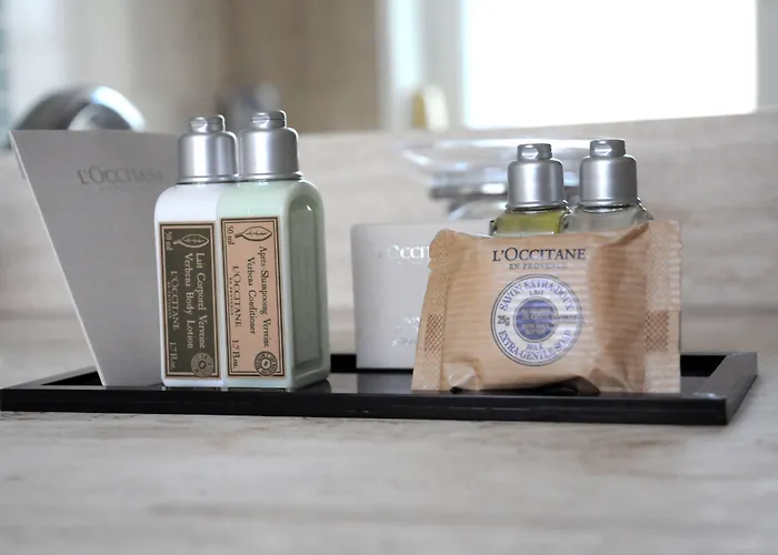 Grand De La Reine - Place Stanislas 4* נאנסי